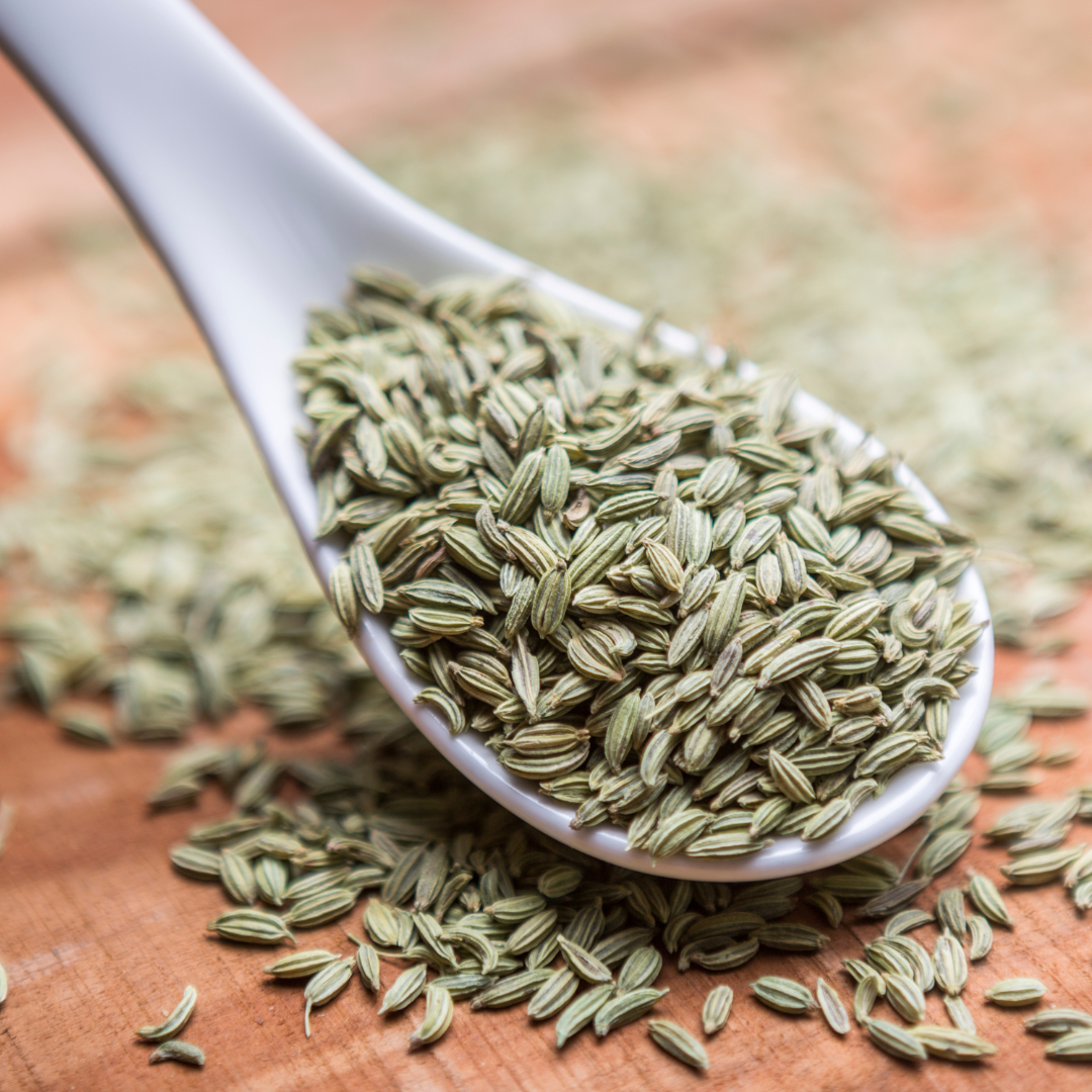 Fennel Seed Powder Herb 1oz (28g)
