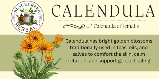 Calendula: The Sunshine Herb Your Skin Loves