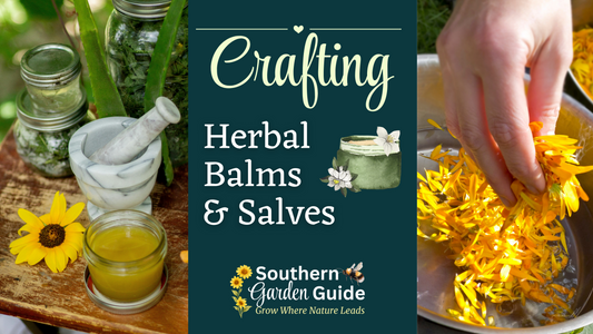 Crafting an Herbal Balm & Salve
