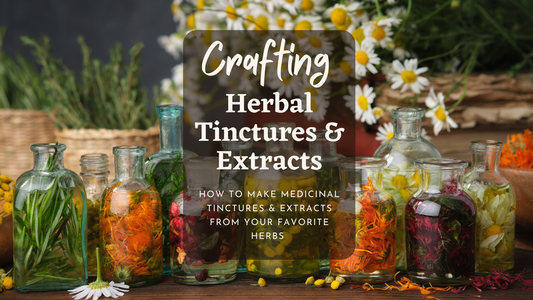 Crafting Herbal Tinctures & Extracts