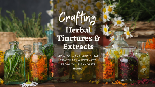 Crafting Herbal Tinctures and Extracts