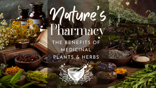Nature’s Pharmacy: Exploring the Benefits of Medicinal Plants