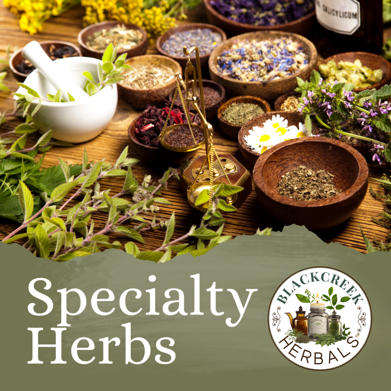 Specialty Herbs