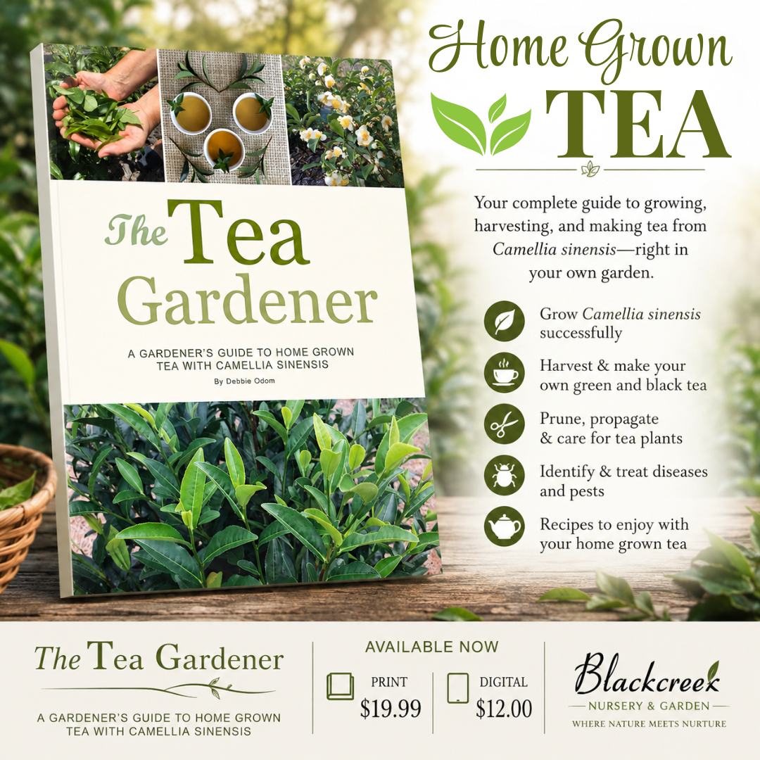 Tea Books