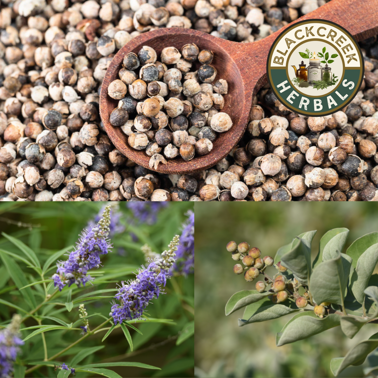 Chaste Tree Berries 1oz (28g)