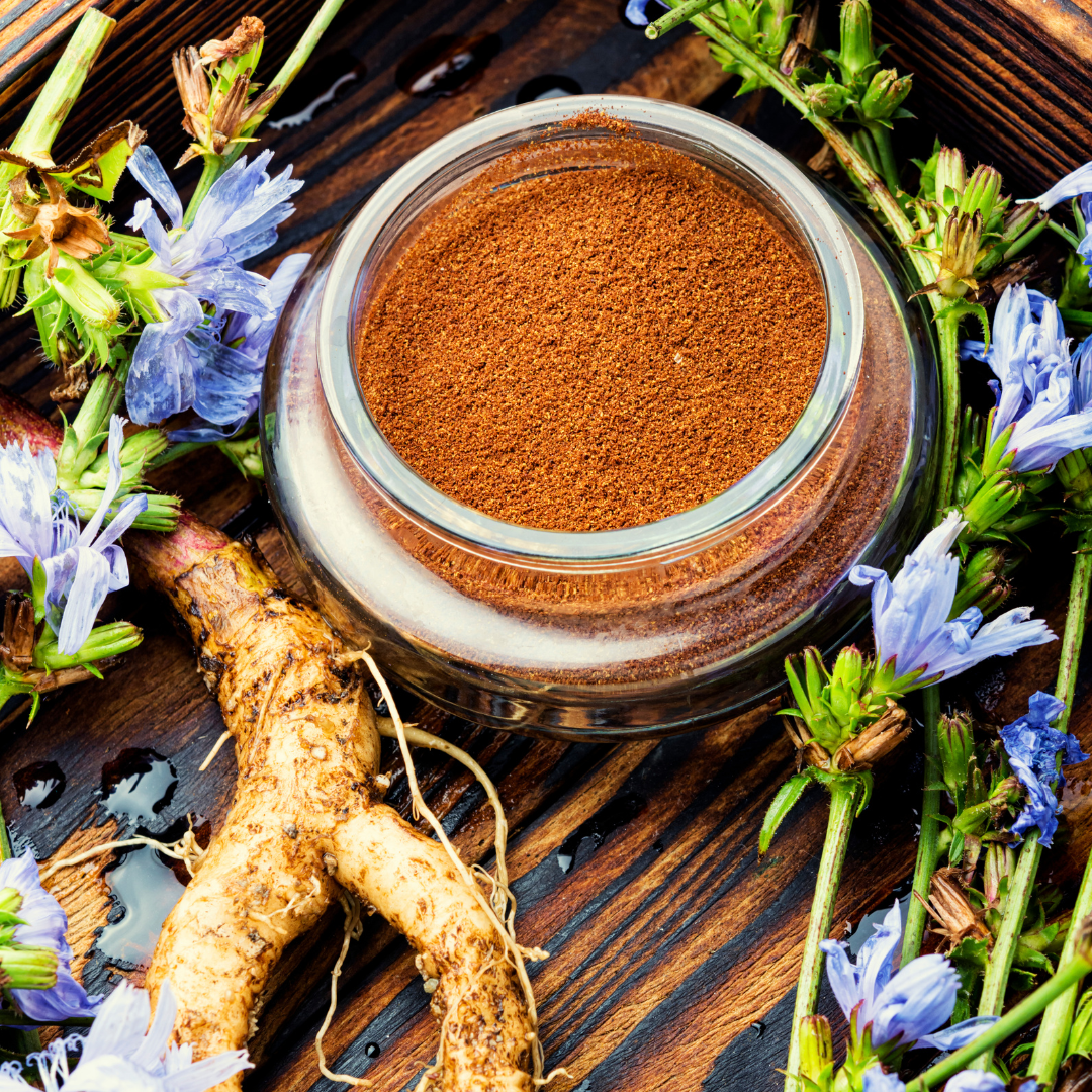 Chicory Root Raw Herb 2oz Organic