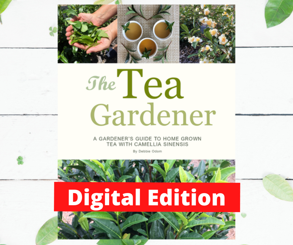 The Tea Gardener ~ Gardener's Guide to Home Grown Tea DIGITAL EBOOK