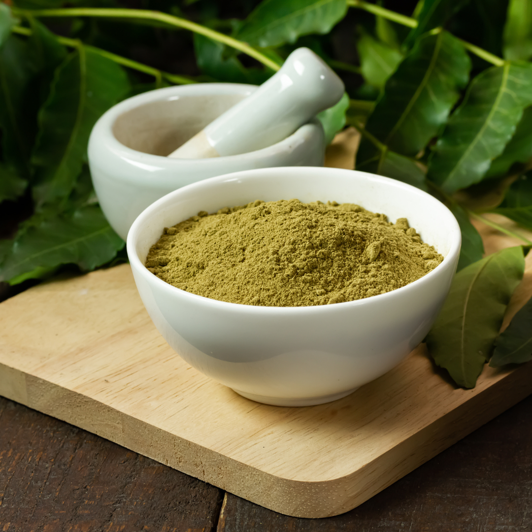 Graviola Soursop Powder Herb 1oz (28g)
