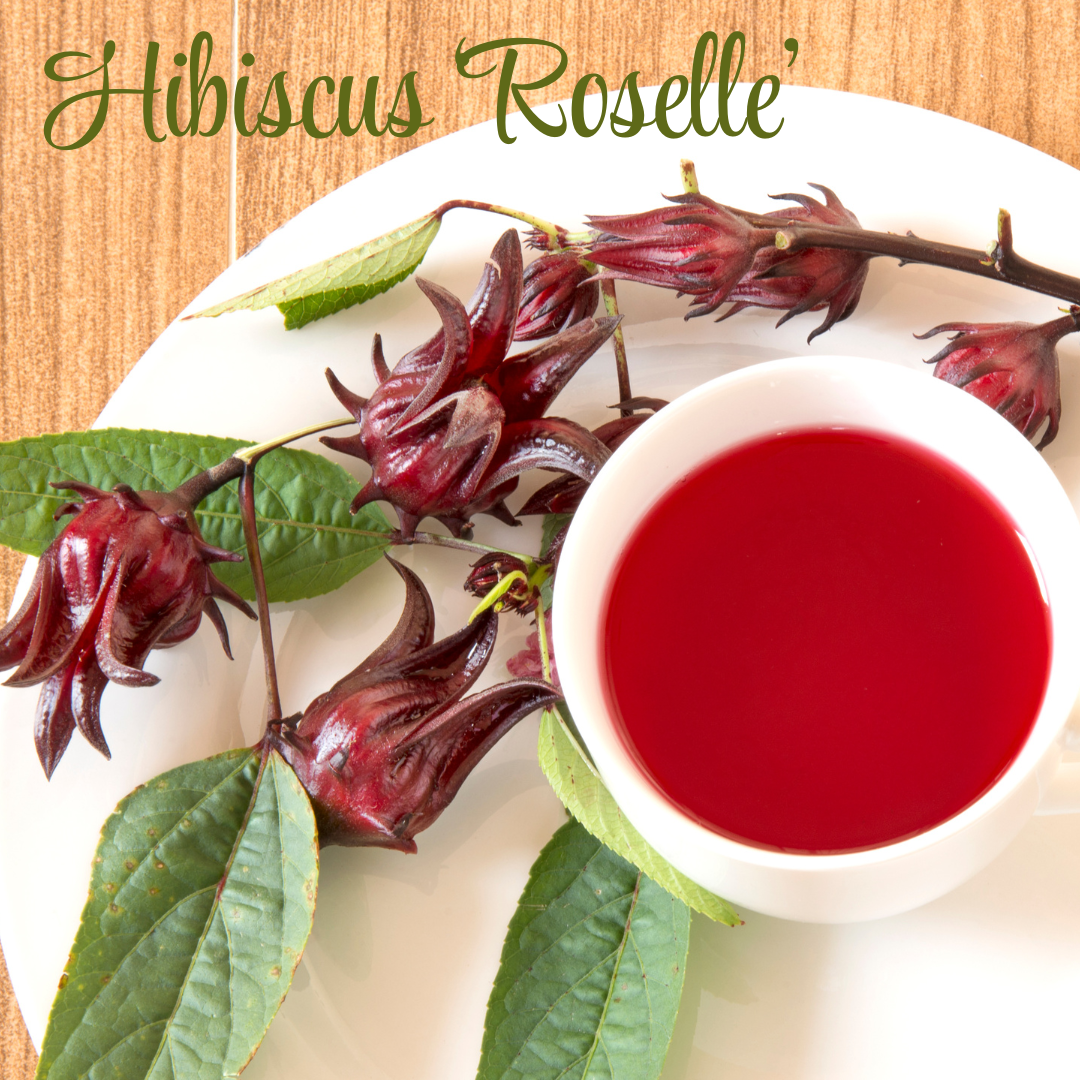 Hibiscus Flower Petals 2oz/56g