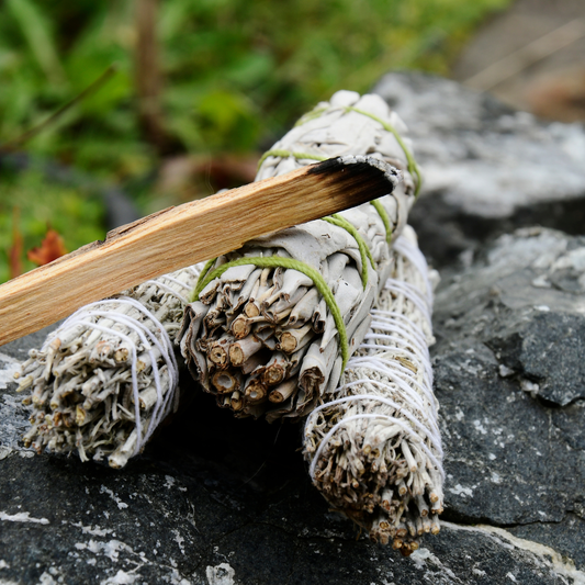 White Sage  Smudge Bundle (1pc)