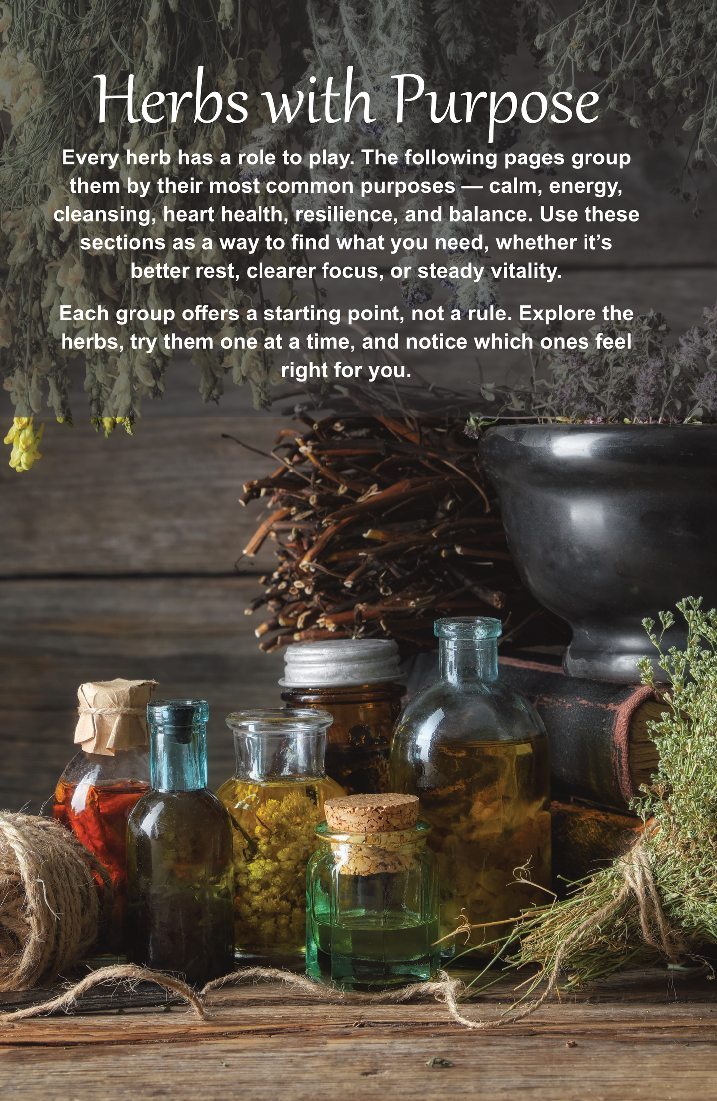 From Nature to Nurture ~ The Beginner's Guide To Herbal Living  (Ebook)