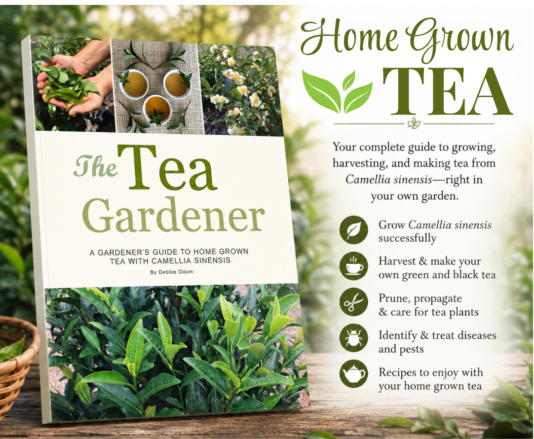 The Tea Gardener Printed Edition
