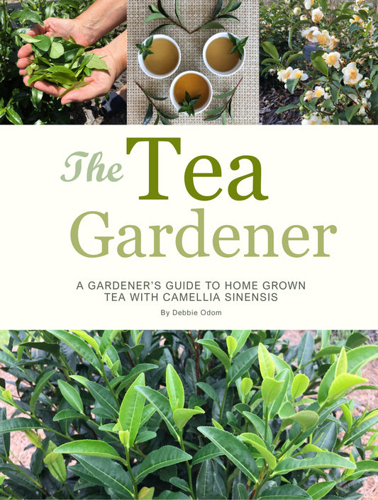The Tea Gardener Printed Edition