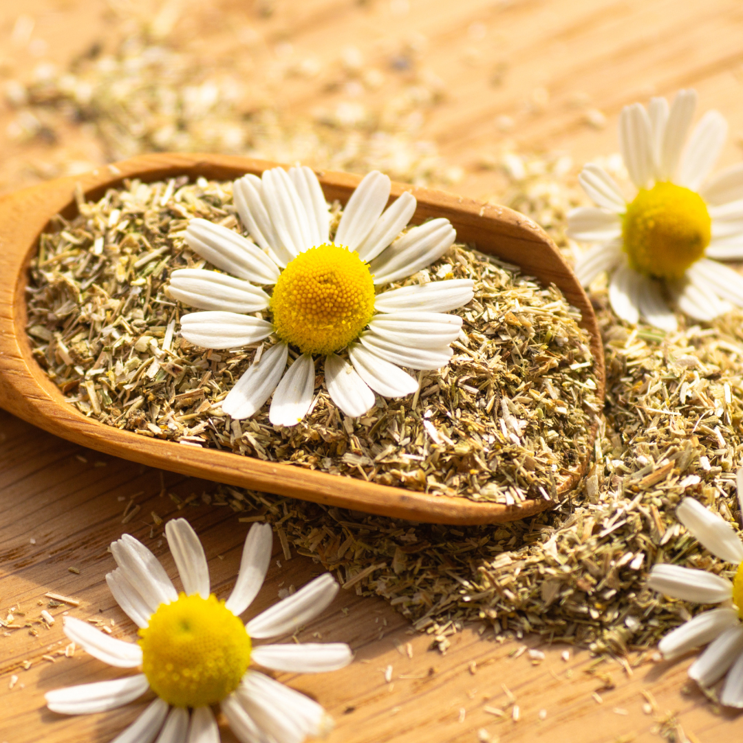 Chamomile Tea 1 oz Loose Leaf
