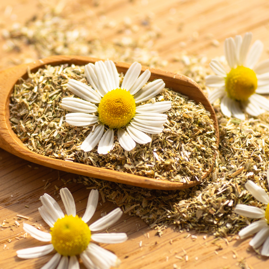 Chamomile Tea 1 oz Loose Leaf