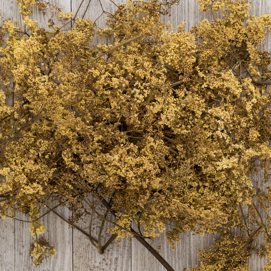 Elderflower Loose Herbs 2oz Organic