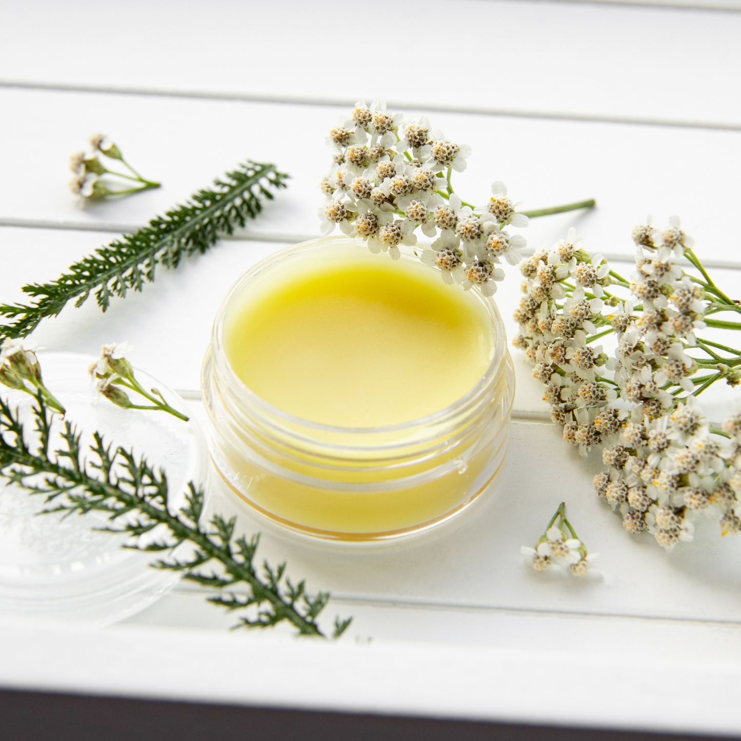 Herbal Comfort Salve 4oz