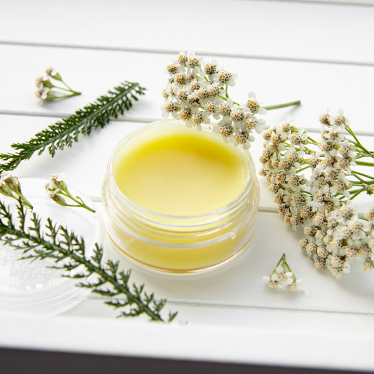 Herbal Comfort Salve 4oz
