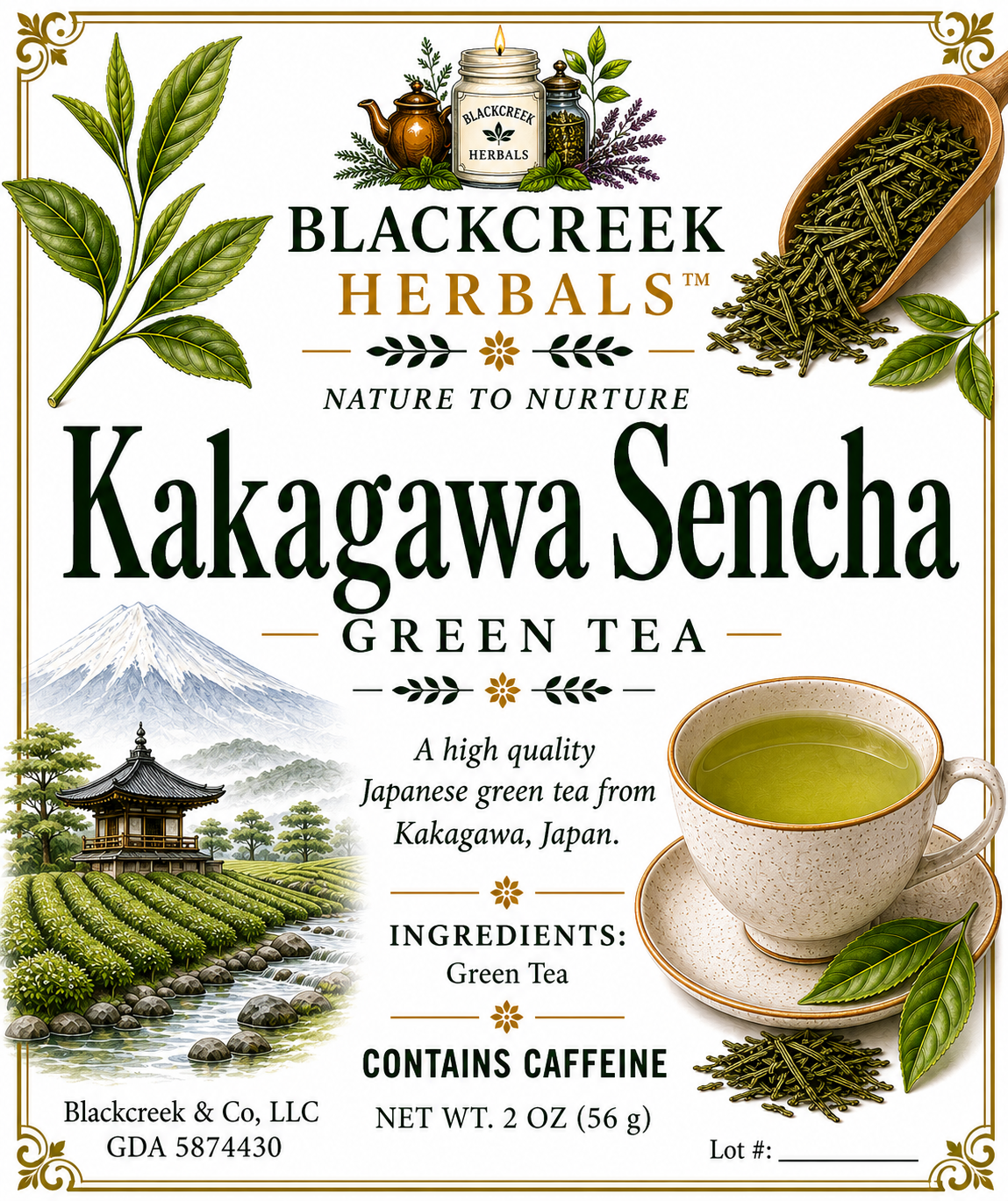 Sencha Kakagawa Green Tea Japan