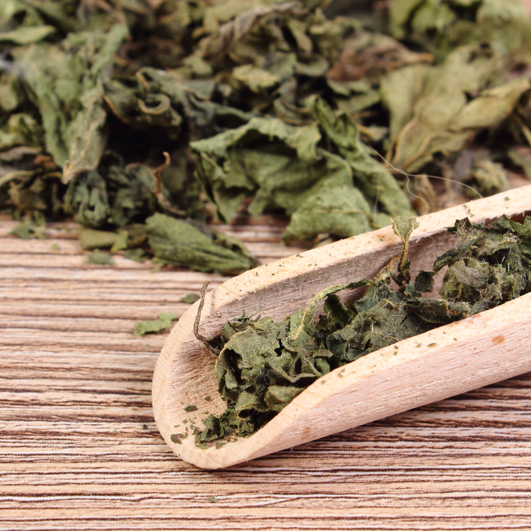 Nettle Leaf Herb 1oz/28g