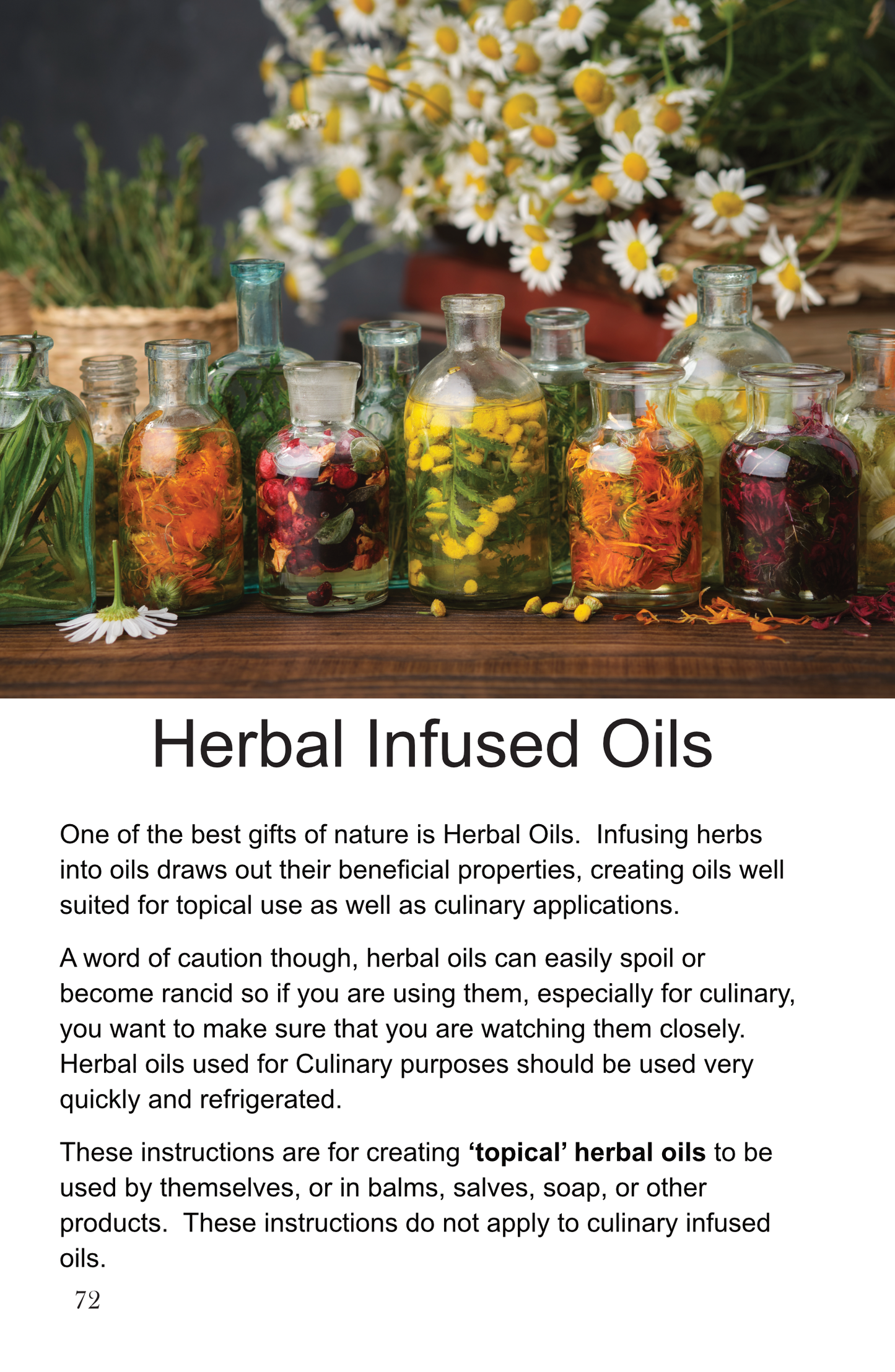 From Nature to Nurture ~ The Beginner's Guide To Herbal Living  (Ebook)