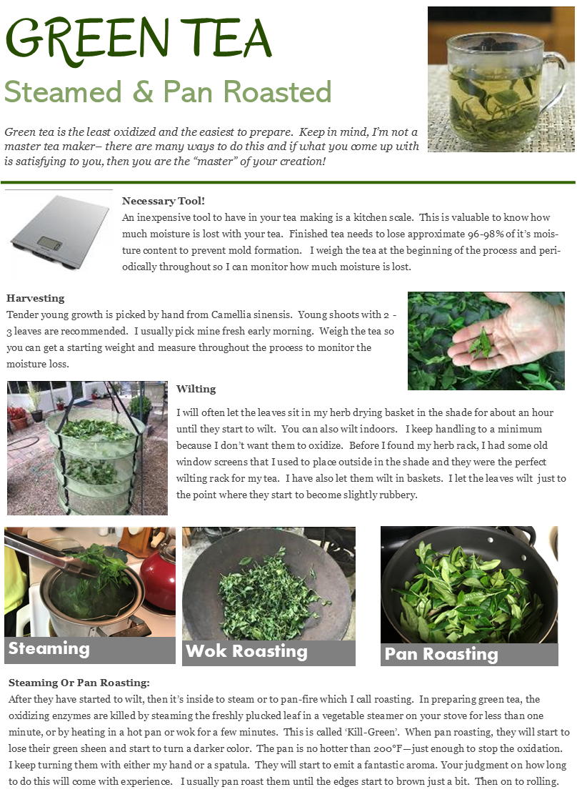 The Tea Gardener ~ Digital PDF Edition