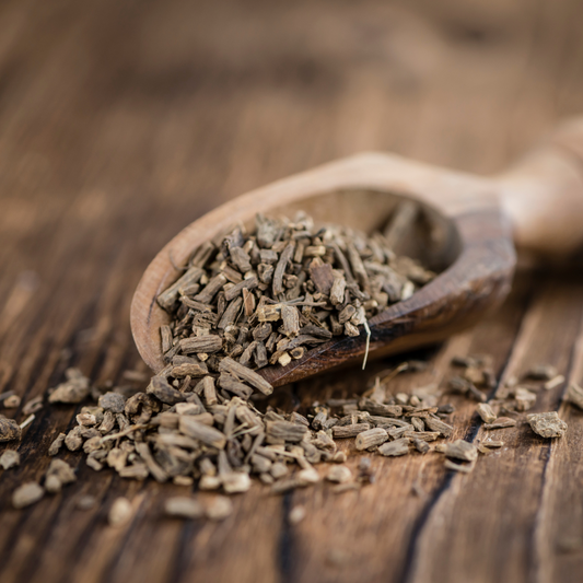 Yellowdock Root 1oz Loose Herb